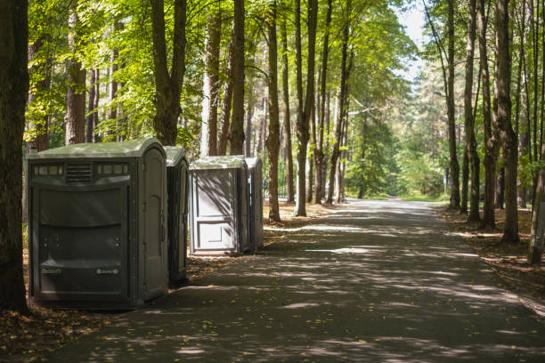 Best Luxury portable toilet rental  in Ferndale, MI